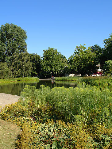 Foto Planten un Blomen - Wiese am Parksee