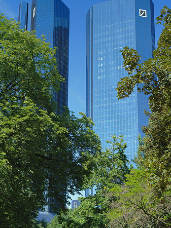 Fotos Deutsche Bank mit Bäumen | Frankfurt am Main