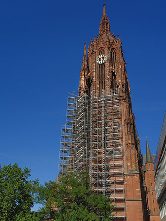 Foto Kaiserdom St. Bartholomäus mit Baum - Frankfurt am Main