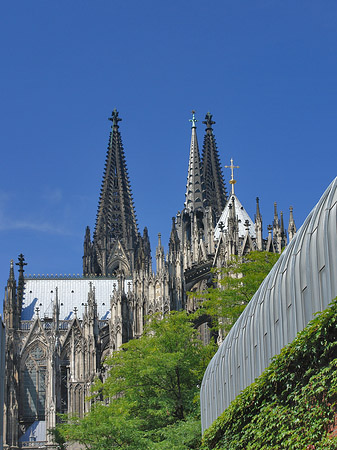 Fotos Hauptbahnhof vor dem Kölner Dom