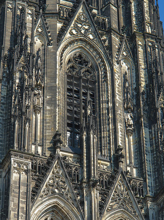 Foto Fenster des Kölner Doms - Köln