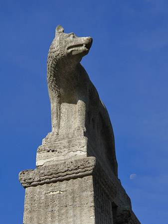 Wolfsstatue am Stadtmuseum Foto 