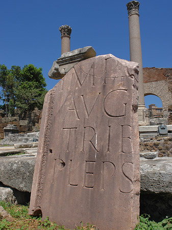 Foto Basilica Aemilia