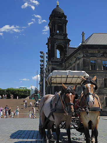 Fotos Pferdekutsche | Dresden