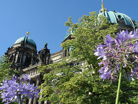 Berliner Dom mit Lustgarten Fotos