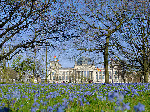 Fotos Blumenwiese am Reichstag | Berlin