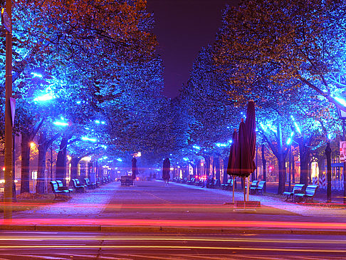 Foto Unter den Linden