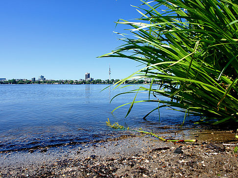 Badestrand an der Außenalster