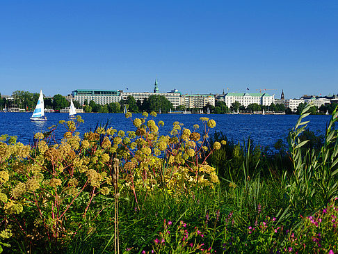 Blick nach Osten von der Außenalster Fotos