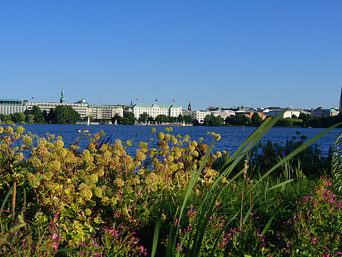 Blick nach Osten von der Außenalster Fotos