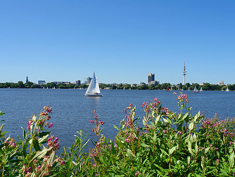 Schöne Aussicht