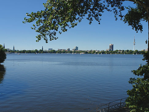 Foto Bäume und Laterne an der Binnenalster - Hamburg