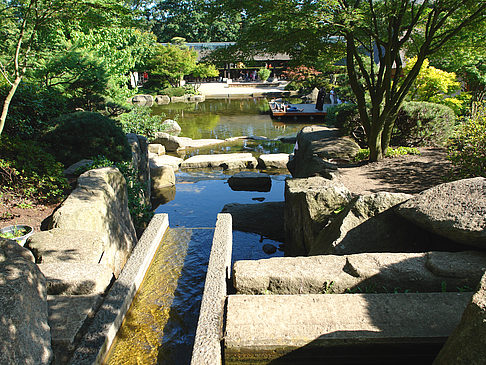 Planten un Blomen - Japanischer Garten Foto 