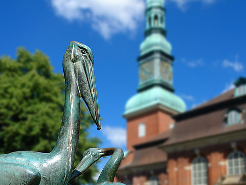 Fotos St. Trinitatis Kirche | Hamburg