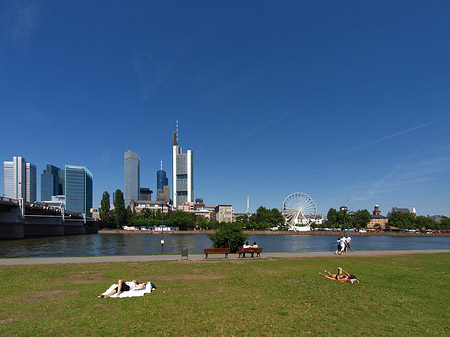 Skyline von Frankfurt mit Sachsenhausener Ufer Foto 