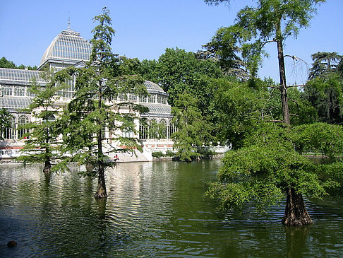 Fotos Palacio de Cristal