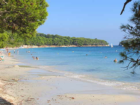 Fotos Der Strand von Formentor | Port de Pollensa