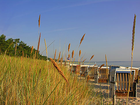 Foto Dünen - Ostseebad Binz