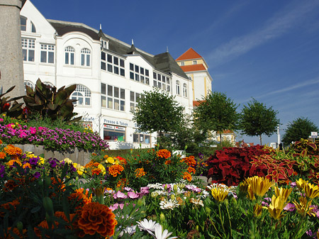 Foto Seebrücke Binz