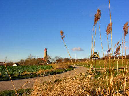 Turm aus der Ferne