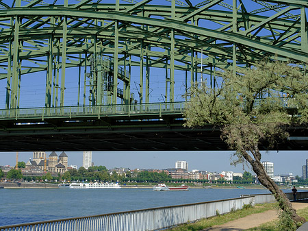 Fotos Hohenzollernbrücke mit Baum | Köln