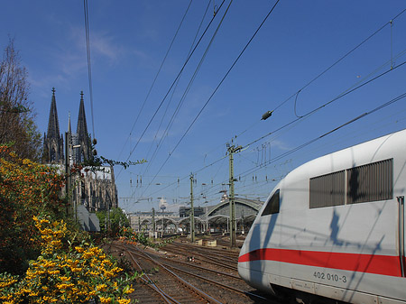 Kölner Dom mit ICE Foto 