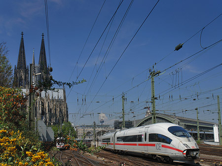 Kölner Dom mit ICE Fotos