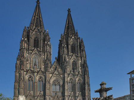 Foto Kreuzblume vor Kölner Dom