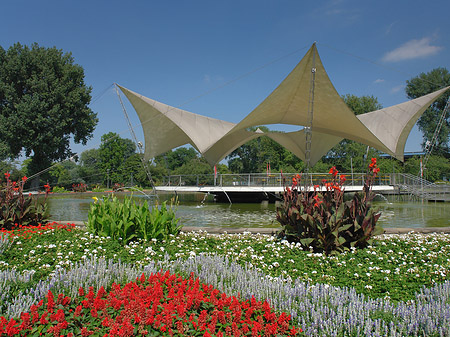 Tanzbrunnen im Rheinpark Fotos