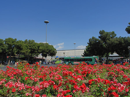 Blumen am Bahnhof Fotos