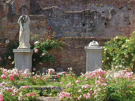 Foto Tempel der Vesta - Rom