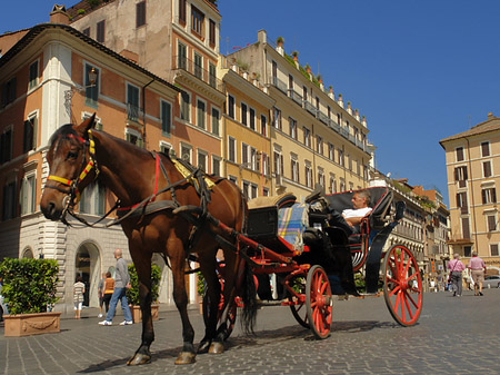 Fotos Pferdekutsche auf der Piazza die Spagna