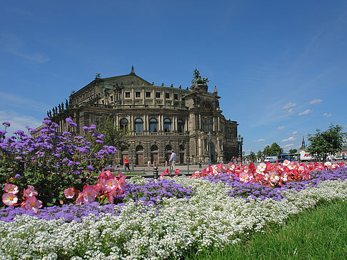 Semperoper mit Blumen Foto 