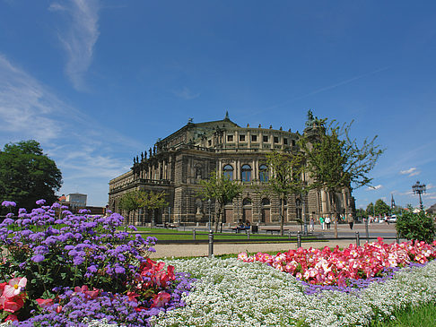 Semperoper mit Blumen Foto 