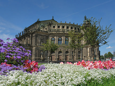 Foto Semperoper mit Blumen