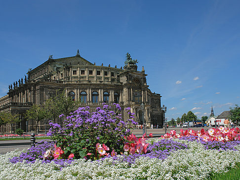 Fotos Semperoper mit Blumen