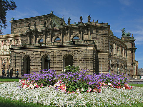 Foto Semperoper mit Blumen - Dresden