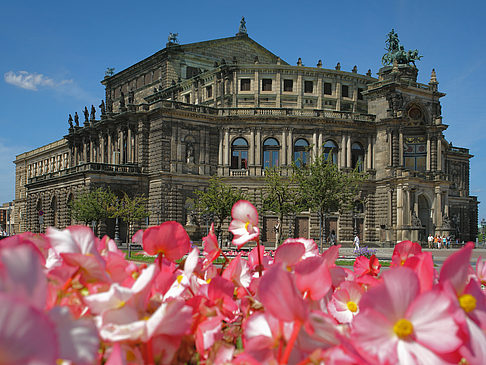 Foto Semperoper mit Blumen - Dresden