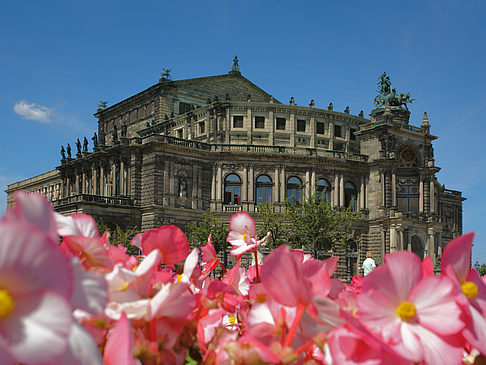 Fotos Semperoper mit Blumen